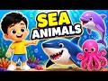 Sea Animals for Kids 🐬 | Learn Ocean Animals Names | Fun Preschool Learning Video , Littlebloom