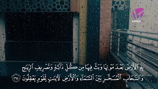 Murottal Indah Surat Al Baqarah 164-166 oleh Ust. Ahmad Al Wasim, Lc.