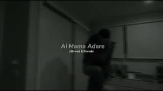 Ai Mama Adare (Slowed & Reverb) - Piyath Rajapakse
