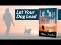 Let Your Dog Lead Promo