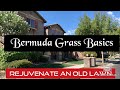 Rejuvenate an old bermuda lawnbermuda grass basics  bermudagrass basics howto