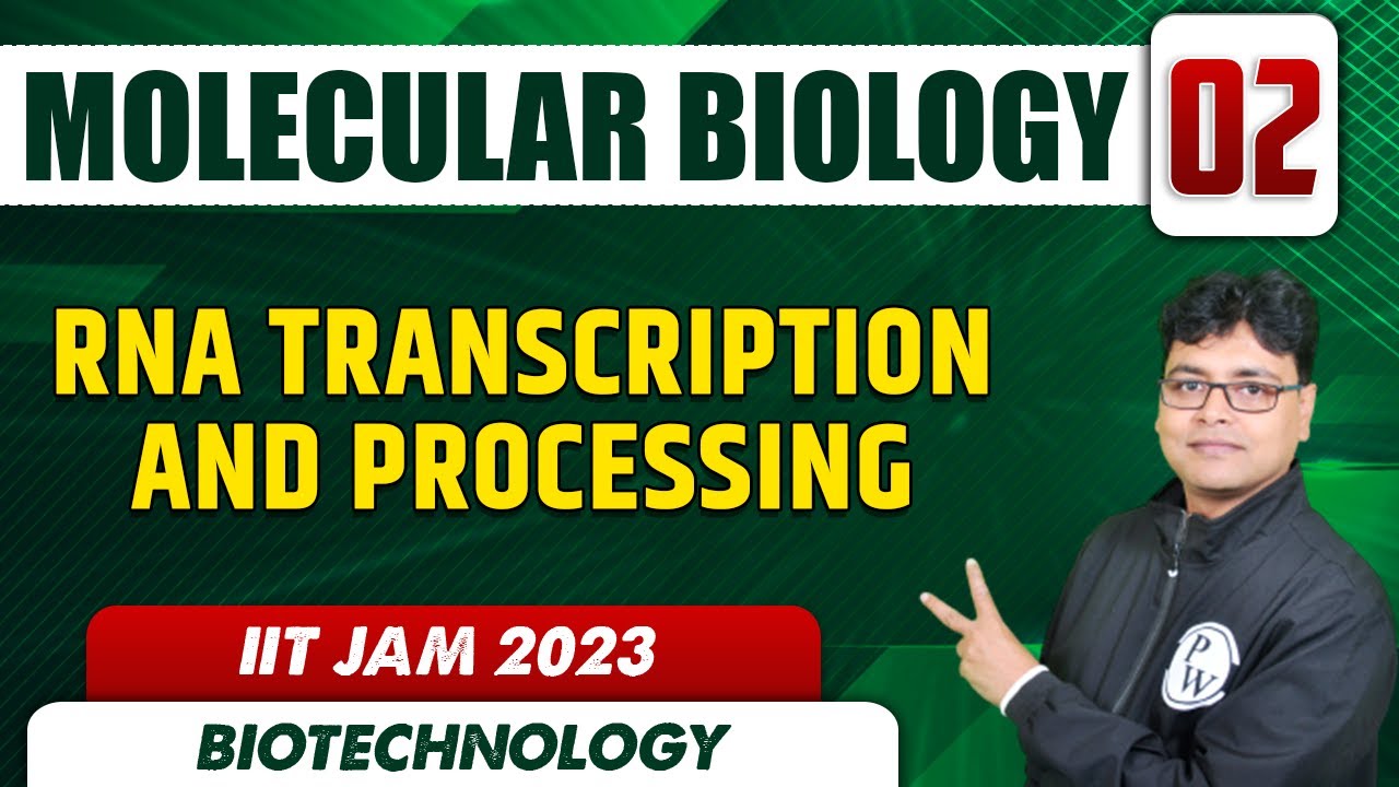 RNA Transcription and Processing | Molecular Biology 02 | Biotechnology ...