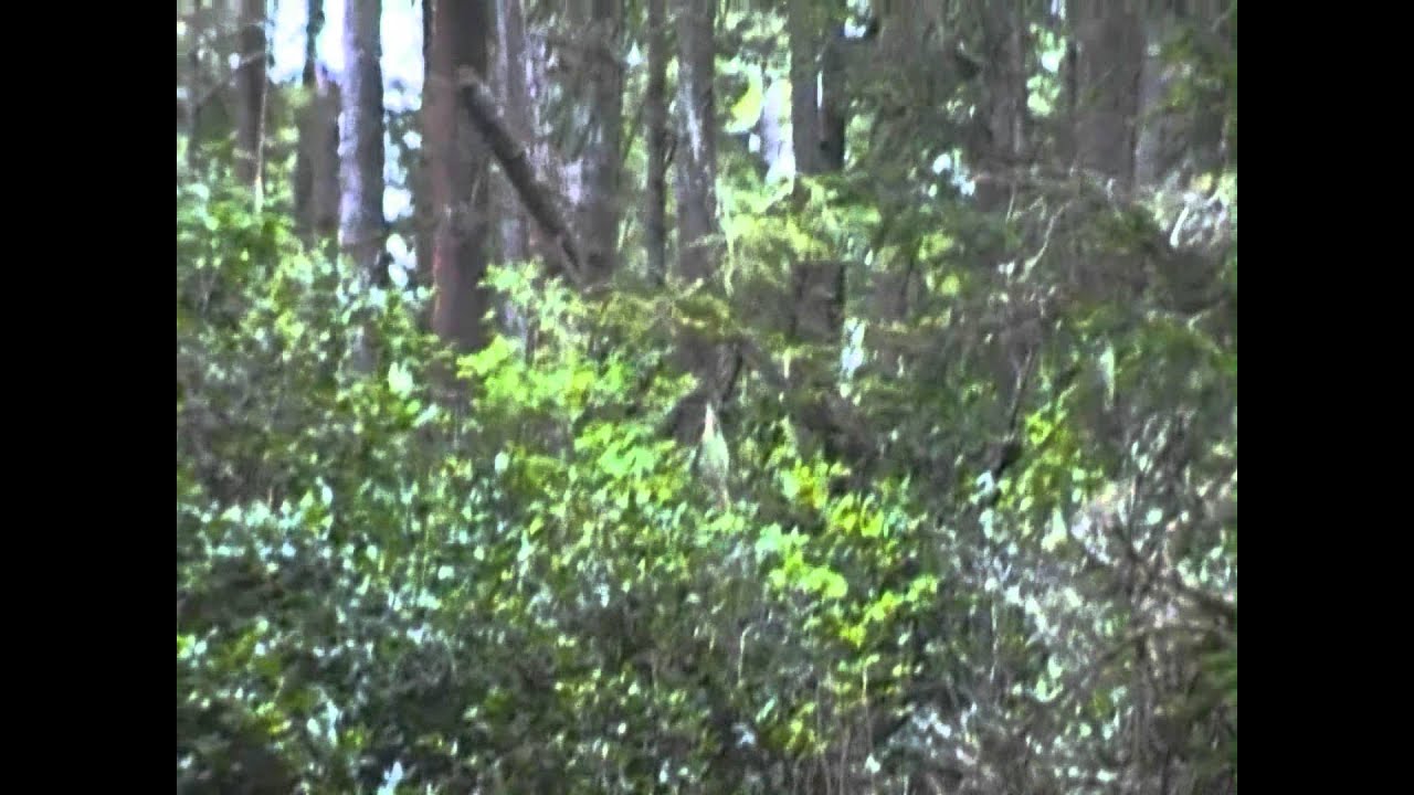 Another wave session peel rider.wmv