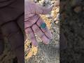 Metal Detector Finds Old Coin #MetalDetector #OldCoin #CoinFound #MetalDetecting #treasurehunt