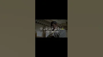 تلاوة مؤثرة من سورة بصوت القارئ محمد البراك قرآن قران تلاوات خاشعة حالات قران كريم 