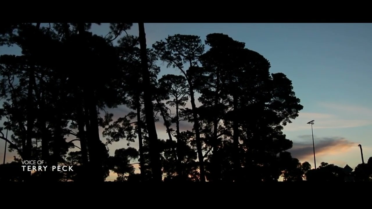 Shane Ryan - Westall ’66 and much more ...