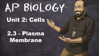AP Biology Unit 2 - Topic 2.3 – Plasma Membranes