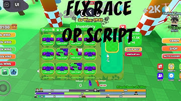 Fly race OP script Unlimited group rewards and rebirth (Fluxus,Hydrogen)