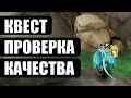 Как пройти Задание "Проверка качества" WOW World of Warcraft Dragonflight Квесты где жеоды