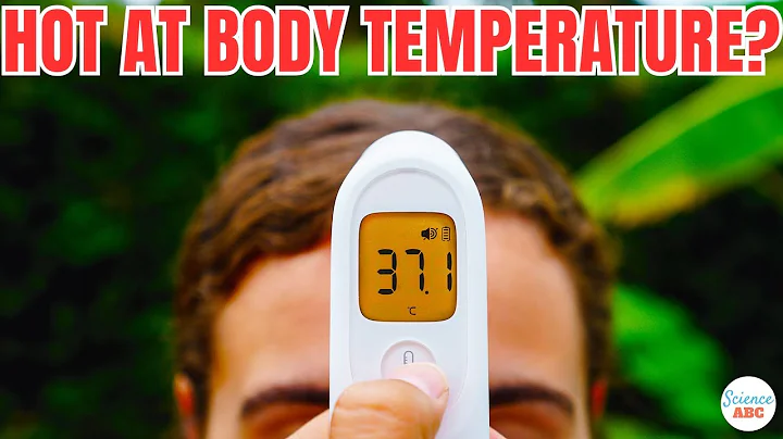 Why Does Your Body Feel HOTTER at 37°C Despite It Being the "Optimal" Temperature? - DayDayNews