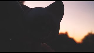 LPS MV: Лёша Свик - Малиновый свет
