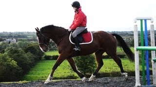 5th time riding Alfie.