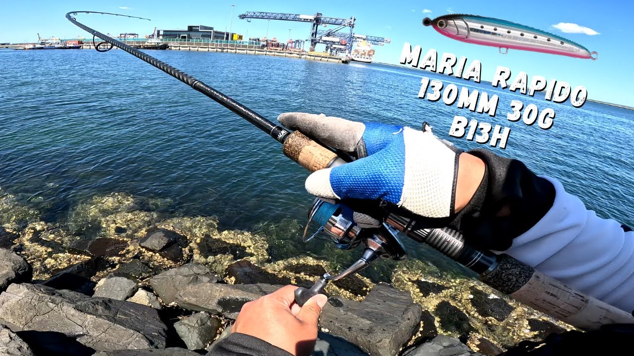Topwater action with Maria Rapido stickbait in Botany Bay YouTube