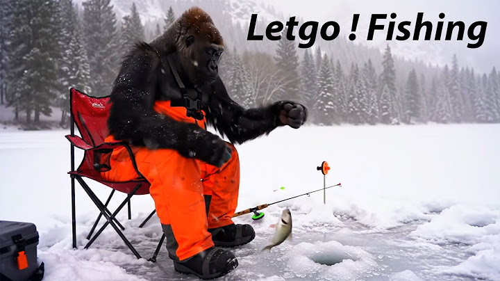 I Survived 24 Hours in the Snow... As a Gorilla