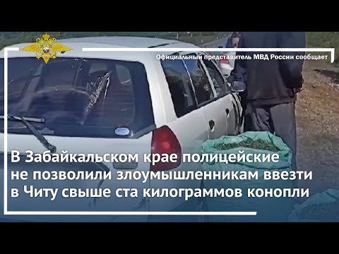 Ирина Волк:В Забайкальском крае полицейские не позволили ввезти в Читу свыше ста килограммов конопли