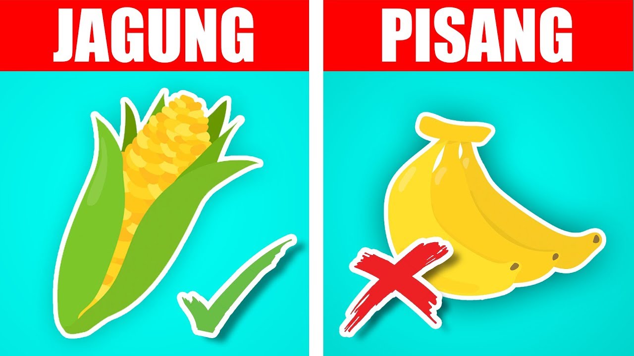 Jenis Makanan Yang Berserat Tinggi Untuk Pencernaan Ambeien Bab