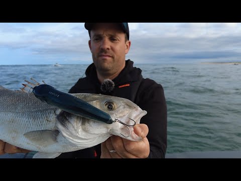 I'm FISHING with the new DECATHLON topwater LURE! (sea bass fishing)