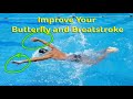 Analysis of Breaststroke and Butterfly - Marcus Cheng