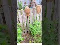 Traditional Slavic Garden in Poland | Slavic House | Slavic Wooden hut | Slavic customs