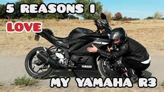 5 Things I Love About My R3 2019 Yamaha R3 First Bike Beginner Rider Review Motorcycle