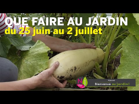 Vidéo: Regional To-Do List : Entretenir les jardins du sud en juin