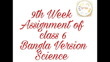 9th week assignment ll Class 6 ll Science ll Bangla Version ll