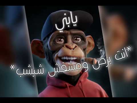 حالات واتس اب مهرجانات حالات جديده طب بخ بخ اناجيت شاشه سوداء
