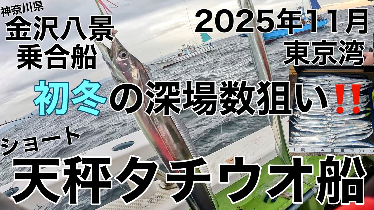 東京湾でタチウオ船‼️ 初冬の深場タチウオ‼️ 乗合船‼️
