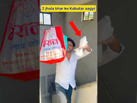 omg itni sari kabutar ek sath  🥰 #vlog #minivlog