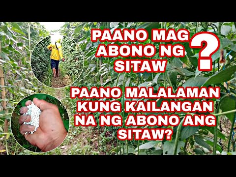 Video: Nasubukan Mo Na Ba Ang Pag-aabono Ng Mga Gulay Na May Lebadura?