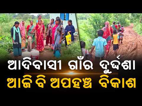 No Road, No Water: Plight Of Tribal Families In Mayurbhanj's Chiteibadi Village | Argus News