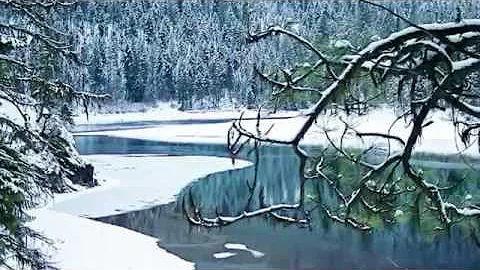 Remembering Places Loved by Connie Mae Pederson Sc...