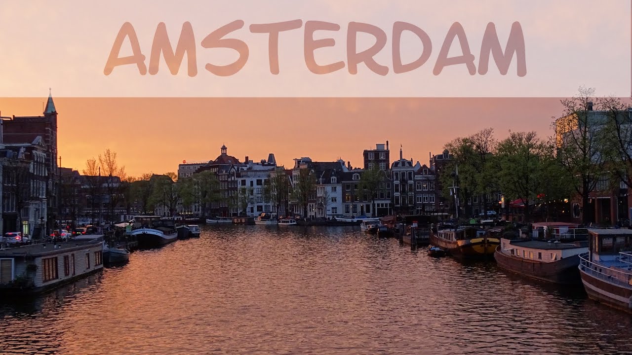 trip nach amsterdam kosten