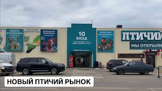 видео: Новый Птичий Рынок 2025 / Мы переехали! / Клинобрюшки и Нанностомусы / Обзор новых павильнов часть 1 картинка: Новый Птичий Рынок 2025 / Мы переехали! / Клинобрюшки и Нанностомусы / Обзор новых павильнов часть 1