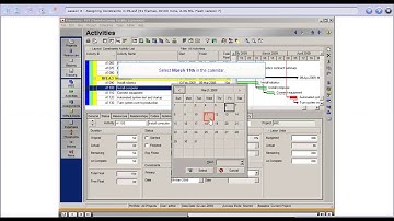 How to assign constraints in Primavera P6