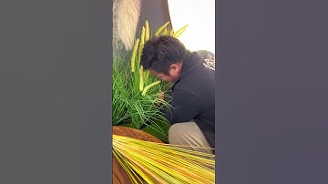 Thi công tiểu cảnh cây giả quán cafe độc đáo  #news #plants #caydecor #homedecor #câygiả #atzdecor