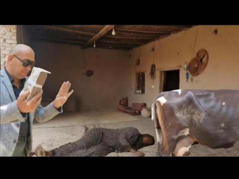 البعل يتسبب في انهيار بنت الريف وخلاها فقدة الوعي امام العالم كله بسبب ١٠٠ الف جنيه البنت انهارت