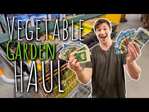Home Depot Garden Haul We Re Growing A Ton Of Vegetables This Year You - How To Start A Vegetable Garden Home Depot Home Depot Garden Haul We Re Growing A Ton Of Vegetables This Year You - How To Start A Vegetable Garden Home Depot