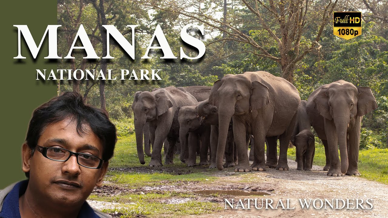 Manas tiger Reserve