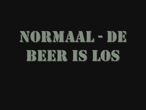 Normaal - De Beer is los
