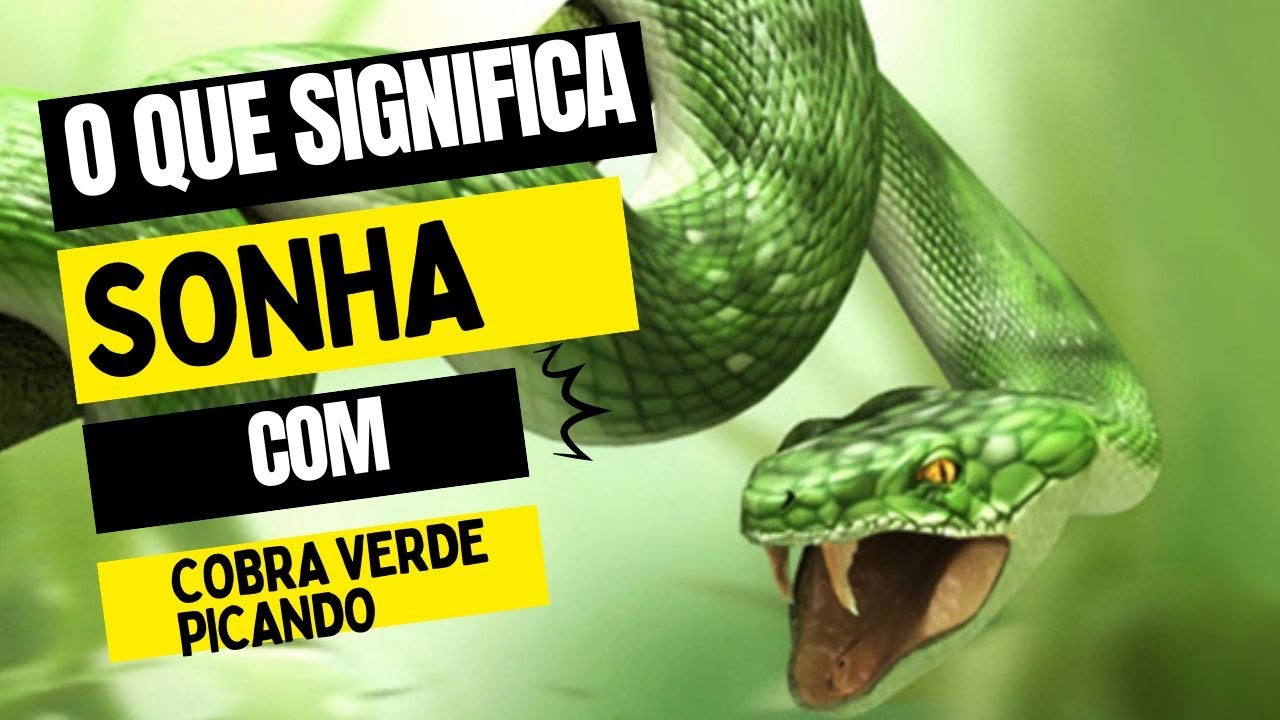 O que significa sonhar com a cobra verde picando - YouTube