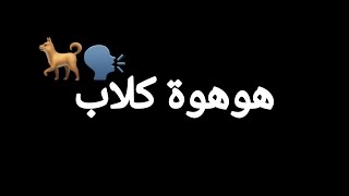 حالات واتس عصام صاصا مهرجان/هوهوة كلاب كتير/لسه منزلش/2022