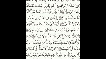 سورة الأحزاب 63-73 (٤٢٧)     Sheikh Anas AlHibri