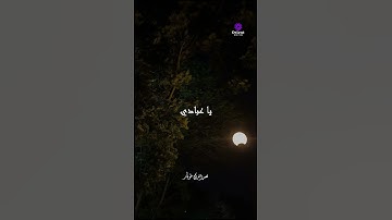 أفضل تلاوة تسمعها اليوم… خشوع يفوق الوصف