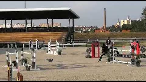 Estelle ( Diarado a.d. Cheppetta ( Cheppeto x Cash))