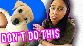 Prepare for Puppy's FIRST Day Home: ❌ What NOT To Do!! ❌