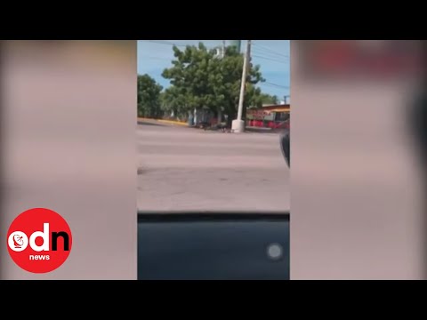 crazy-gun-fight-in-mexico-as-officers-hunt-down-el-chapo’s-son
