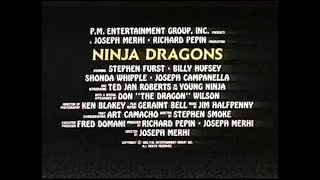 Wojownik ninja (1993) Ninja Dragons (zwiastun VHS) screenshot 1