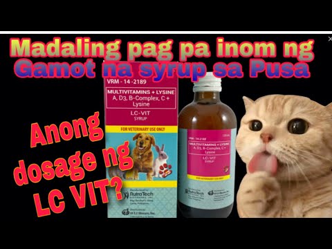 Video: Ang Kapakinabangan Ng Lysine Supplement Para Sa Mga Pusa Sa Ilalim Ng Pagsisiyasat