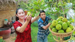 Pick guava beside my house with sweet and sour taste - I also cook mud crab with glass noodle too